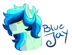 Size: 352x272 | Tagged: safe, artist:kimyowolf, oc, oc only, oc:blue jay, pony, bust, male, portrait, simple background, solo, stallion, transparent background