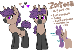 Size: 940x630 | Tagged: safe, artist:nootaz, oc, oc:zatoon, pony, unicorn, female, mare, reference sheet