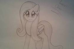 Size: 714x479 | Tagged: safe, artist:enviaart, fluttershy, pegasus, pony, g4, female, gray background, grayscale, looking at you, mare, monochrome, pencil drawing, signature, simple background, solo, traditional art