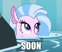 Size: 1285x1080 | Tagged: safe, edit, edited screencap, editor:apex soundwave, screencap, silverstream, seapony (g4), g4, what lies beneath, cute, diastreamies, female, funny, image macro, looking up, meme, seapony silverstream, solo, soon, text, water