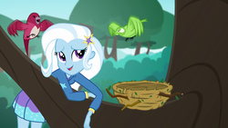 Size: 1920x1080 | Tagged: safe, screencap, trixie, bird, a little birdie told me, equestria girls, g4, my little pony equestria girls: better together, bird nest, cute, diatrixes, female, nest, solo, tree, tree branch