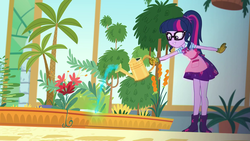 Size: 1920x1080 | Tagged: safe, screencap, sci-twi, twilight sparkle, equestria girls, g4, my little pony equestria girls: better together, my little shop of horrors, apron, boots, celestia's house, clothes, cute, female, geode of telekinesis, glasses, gloves, greenhouse, magical geodes, palm tree, plant, plants, ponytail, room to grow, shoes, skirt, solo, tree, twiabetes, watering can
