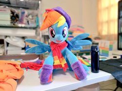 Size: 1024x768 | Tagged: safe, artist:nekokevin, rainbow dash, pegasus, pony, g4, clothes, cute, dashabetes, female, hat, irl, looking at you, mare, open mouth, photo, plushie, scarf, sitting, smiling, socks, solo, spread wings, wings, winter outfit