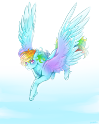 Size: 2000x2500 | Tagged: safe, artist:ponettedefeu, rainbow dash, pegasus, pony, g4, female, flying, high res, looking at you, mare, solo, unshorn fetlocks, wings