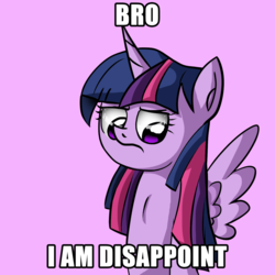Size: 1600x1600 | Tagged: safe, artist:zsparkonequus, twilight sparkle, alicorn, pony, g4, disappointed, female, frown, image macro, looking down, mare, meme, simple background, solo, spread wings, text, twilight sparkle (alicorn), wings
