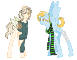 Size: 3232x2512 | Tagged: safe, artist:musicbetmlp, oc, oc:skychaser, oc:thunder storm, pegasus, pony, brothers, clothes, duo, half-siblings, high res, hoodie, interdimensional siblings, male, offspring, parent:dumbbell, parent:flash sentry, parent:lightning dust, parents:flashdust, parents:lightningbell, scarf, simple background, white background