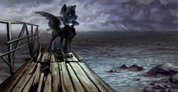 Size: 1280x666 | Tagged: safe, artist:holivi, pegasus, pony, clothes, commission, lidded eyes, male, ocean, solo, stallion, water