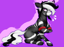 Size: 3600x2600 | Tagged: safe, artist:fizzlesoda2000, oc, oc only, unnamed oc, pony, zebra, ambiguous gender, blank flank, freckles, frown, high res, looking at something, purple background, purple outline, shadow, simple background, sitting, solo, stripes, surprised, zebra oc