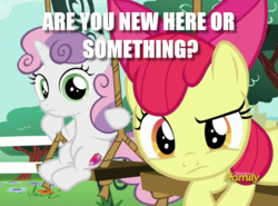 Size: 789x583 | Tagged: safe, edit, edited screencap, screencap, apple bloom, sweetie belle, g4, on your marks, discovery family logo, duo, image macro, looking at you, meme, question, swing, text