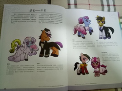 Size: 4160x3120 | Tagged: safe, artist:lindsay cibos, oc, earth pony, pony, book, bouquet, bow, bowtie, chinese, clothes, dress, female, little pony drawing book, male, mare, stallion, translation request, wedding dress