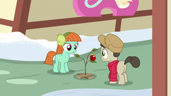 Size: 1280x720 | Tagged: safe, screencap, ginger green, gnarly burl, pony, best gift ever, g4, a charlie brown christmas, charlie brown, clothes, colt, earmuffs, female, filly, foal, hearth's warming tree, heather wold, male, ornament, the little red haired girl, tree, winter outfit