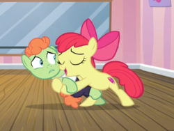 Size: 669x503 | Tagged: safe, screencap, apple bloom, shuffle step, earth pony, pony, g4, on your marks, adorabloom, bipedal, bow, cropped, cute, dancing, eyes closed, female, filly, hair bow, holding a pony, open mouth, uncomfortable