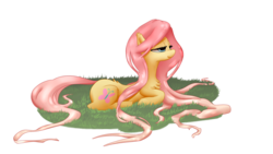 Size: 1600x900 | Tagged: safe, artist:hamanaki, fluttershy, pegasus, pony, g4, chest fluff, cutie mark, female, grass, lidded eyes, long hair, mare, prone, simple background, smiling, solo, transparent background, wrong cutie mark