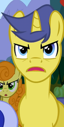 Size: 367x720 | Tagged: safe, screencap, carrot top, comet tail, golden harvest, minuette, earth pony, pony, unicorn, g4, the super speedy cider squeezy 6000, angry, background pony, cropped, female, male, mare, stallion