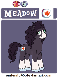 Size: 479x630 | Tagged: safe, artist:emiemi345, oc, oc only, oc:meadow, earth pony, pony, blaze (coat marking), coat markings, facial markings, female, mare, offspring, parent:big macintosh, parent:coloratura, parents:raramac, reference sheet, socks (coat markings), solo, unshorn fetlocks