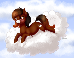 Size: 3000x2363 | Tagged: safe, artist:starshade, oc, oc only, oc:java, earth pony, pony, blushing, cloud, coat markings, cute, cutie mark, earth pony on cloud, female, high res, mare, on a cloud, prone, socks (coat markings), solo