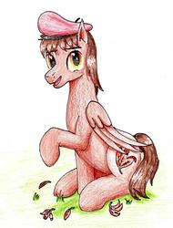 Size: 2088x2753 | Tagged: safe, artist:40kponyguy, derpibooru exclusive, oc, oc only, oc:autumn rosewood, pegasus, pony, beret, grass, hat, leaves, looking at you, male, raised hoof, requested art, solo, stallion, traditional art