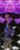 Size: 480x1206 | Tagged: safe, artist:rydelfox, nightmare moon, princess cadance, princess celestia, princess luna, spike, twilight sparkle, alicorn, pony, g4, filly fantasy vi, final fantasy, final fantasy vi, hoof shoes, kefka palazzo, monument to non-existence, pixel art, twilight sparkle (alicorn)