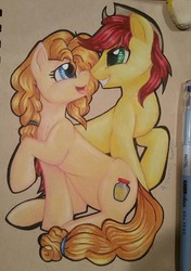 Size: 1769x2510 | Tagged: safe, artist:gleamydreams, bright mac, pear butter, earth pony, pony, g4, couple, duo, female, looking at each other, male, mare, open mouth, raised hoof, signature, sitting, smiling, stallion, traditional art