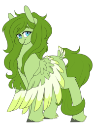 Size: 1280x1676 | Tagged: safe, artist:liefsong, oc, oc only, oc:lief, hippogriff, pegasus, pony, 2019 community collab, derpibooru community collaboration, feathered fetlocks, simple background, solo, transparent background, unshorn fetlocks