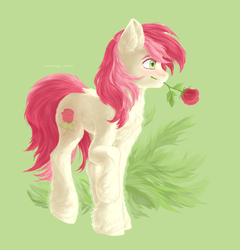 Size: 2900x3020 | Tagged: safe, artist:winternight2015, roseluck, pony, g4, chest fluff, commissioner:doom9454, cute, ear fluff, female, flower, flower in mouth, fluffy, high res, mouth hold, rose, simple background, solo