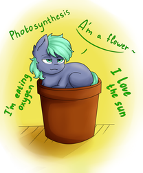 Size: 2500x3000 | Tagged: safe, artist:rskyfly, oc, oc only, earth pony, pony, high res, lidded eyes, photosynthesis, pot, solo, ych result