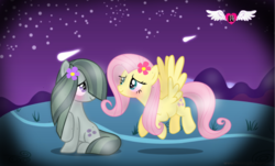 Size: 885x536 | Tagged: safe, artist:spero, edit, vector edit, fluttershy, marble pie, earth pony, pegasus, pony, g4, blushing, cutie mark, duo, female, flower, flower in hair, lesbian, looking at each other, mare, mountain, night, shadow, ship:marbleshy, shipping, shooting star, shy, smiling, stars, vector, vignette