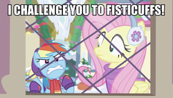 Size: 960x540 | Tagged: safe, edit, edited screencap, screencap, fluttershy, rainbow dash, pony, best gift ever, g4, angry, caption, clothes, cute, earmuffs, fisticuffs, image macro, madorable, rainbowsnap, scarf, snow, text, window, winter outfit