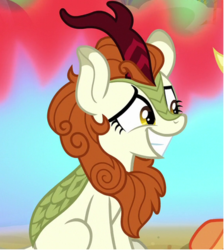 Size: 355x397 | Tagged: safe, screencap, applejack, autumn blaze, kirin, pony, g4, sounds of silence, cropped, smiling