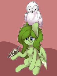 Size: 1280x1707 | Tagged: safe, artist:passigcamel, oc, oc only, oc:lief, bird, moth, owl, pegasus, pony, art trade, chest fluff, female, mare
