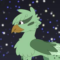 Size: 1676x1686 | Tagged: safe, artist:moonakart13, artist:moonaknight13, oc, oc:akamu tal, griffon, original character do not steal, starry night