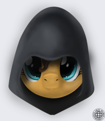 Size: 1110x1277 | Tagged: source needed, safe, artist:grayworldcorporation, oc, oc only, pony, bust, female, hood, looking at you, mare, portrait, solo