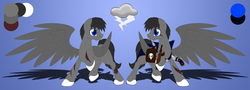 Size: 2500x903 | Tagged: safe, artist:miniferu, oc, oc only, pegasus, pony, cutie mark, male, reference sheet, solo