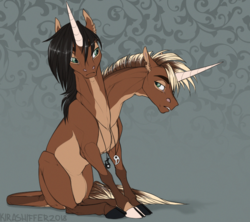 Size: 844x750 | Tagged: safe, artist:dementra369, oc, oc only, oc:andy & sam, pony, unicorn, brothers, cloven hooves, conjoined, conjoined twins, jewelry, leonine tail, male, multiple heads, pendant, sitting, stallion, two heads, yin-yang