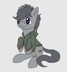 Size: 1276x1366 | Tagged: safe, artist:shaliwolf, oc, oc only, unnamed oc, pony, clothes, hoodie, solo, wingless