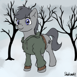 Size: 808x808 | Tagged: safe, artist:shaliwolf, oc, oc only, unnamed oc, pony, clothes, hoodie, looking at you, solo, wingless, winter