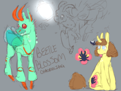 Size: 1280x960 | Tagged: safe, artist:cosmic-horse, artist:cosmichorse, oc, oc only, oc:beetle blossom, beetle, bug pony, changedling, changeling, insect, pony, bugpony, changedling oc, changeling oc, insect wings, reference, simple background, solo