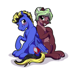 Size: 3500x3740 | Tagged: safe, artist:lupiarts, oc, oc only, oc:cloak, oc:cocoa mint, pegasus, pony, blushing, cute, cutie, digital art, duo, female, high res, male, mare, simple background, sitting, smiling, smirk, stallion, transparent background