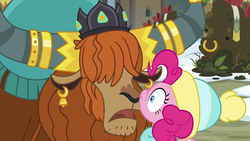 Size: 1280x720 | Tagged: safe, screencap, pinkie pie, prince rutherford, pony, yak, g4, my little pony best gift ever, bell, crown, duo, ear piercing, earring, female, hair over eyes, hat, horn, horn ring, jewelry, male, mare, nose to nose, nose wrinkle, piercing, regalia