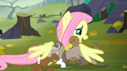 Size: 1440x810 | Tagged: safe, screencap, fluttershy, duck, ferret, mouse, pegasus, pony, squirrel, g4, the hooffields and mccolts, animal, cute, female, hug, kindness, mare, rock, shyabetes, tree, tree stump, winghug