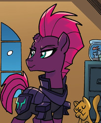Size: 542x662 | Tagged: safe, idw, official comic, tempest shadow, cat, fish, pony, unicorn, g4, armor, broken horn, cropped, female, horn, mare