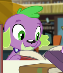 Size: 448x518 | Tagged: safe, screencap, spike, spike the regular dog, dog, equestria girls, equestria girls specials, g4, my little pony equestria girls: better together, my little pony equestria girls: forgotten friendship, book, cropped, male, puppy, reading, smiling, solo
