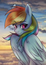 Size: 2894x4093 | Tagged: safe, artist:cottonaime, rainbow dash, pegasus, pony, g4, cloud, eyebrows, eyebrows visible through hair, female, large wings, solo, wings