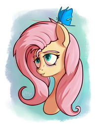 Size: 789x967 | Tagged: safe, artist:hc0, fluttershy, butterfly, pony, g4, bags under eyes, bust, eyebrows, female, mare, portrait, sitting on head, sleepy, solo, three quarter view
