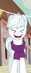 Size: 234x540 | Tagged: safe, screencap, double diamond, earth pony, pony, g4, to where and back again, clothes, cropped, eyes closed, happy, laughing, male, scarf, smiling, solo, stallion, xd