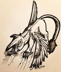 Size: 1080x1256 | Tagged: safe, artist:shinycyan, gilda, griffon, g4, angry, female, ink drawing, inktober, monochrome, sketch, solo, traditional art, wings