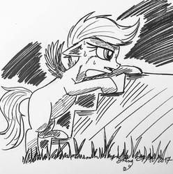 Size: 1080x1087 | Tagged: safe, artist:shinycyan, scootaloo, pegasus, pony, g4, climbing, female, filly, ink drawing, inktober, monochrome, sketch, solo, stairs, sweat, sweatdrop, traditional art