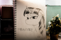 Size: 4288x2848 | Tagged: safe, artist:calveen, twilight sparkle, pony, g4, bust, female, floppy ears, horn, japanese, looking at you, manga, mare, monochrome, pencil drawing, photo, signature, sketch, sketchbook, solo, traditional art, unamused