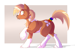 Size: 1024x683 | Tagged: safe, artist:tehshockwave, oc, oc only, earth pony, pony, :p, male, raised hoof, silly, solo, stallion, tail wrap, tongue out, unshorn fetlocks