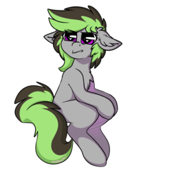 Size: 4000x4000 | Tagged: safe, artist:spoopygander, oc, oc only, oc:elli, earth pony, pony, chest fluff, ear fluff, female, floppy ears, mare, multicolored hair, outline, simple background, sitting, solo, squint, transparent background